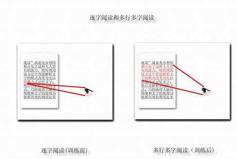 一目十行不是梦，过目不忘你也能！  —— 精英特速读记忆训练网